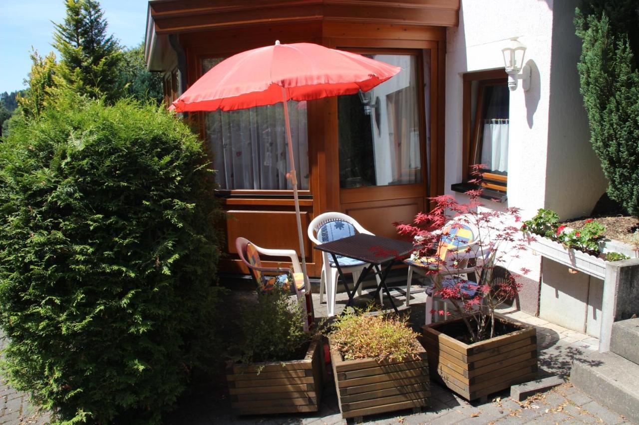 Haus Hirtenbergblick Lonau 外观 照片