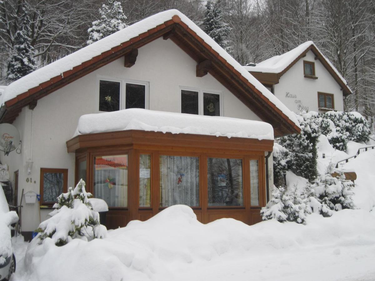 Haus Hirtenbergblick Lonau 外观 照片