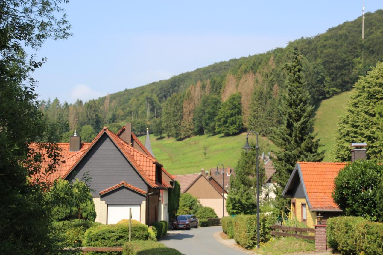 Haus Hirtenbergblick Lonau 外观 照片