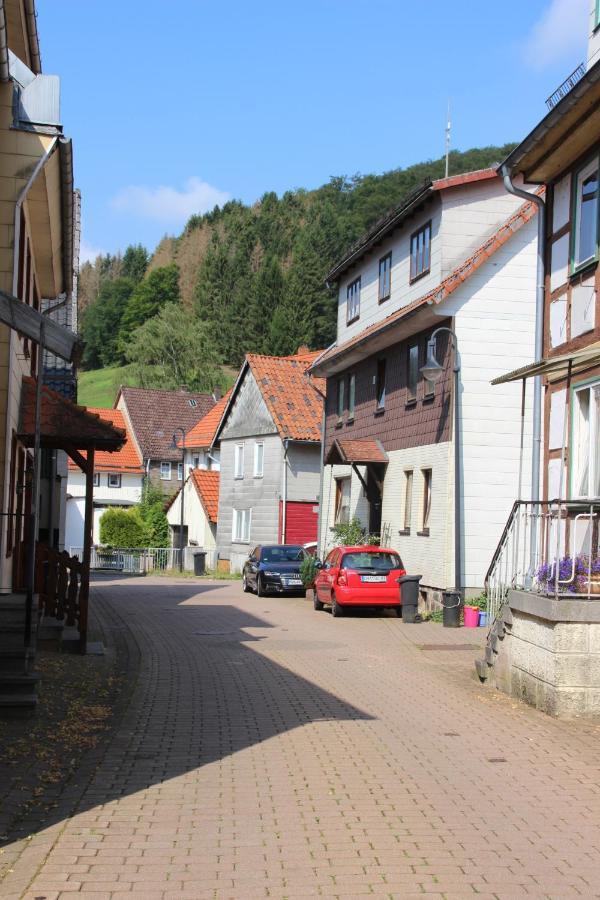 Haus Hirtenbergblick Lonau 外观 照片