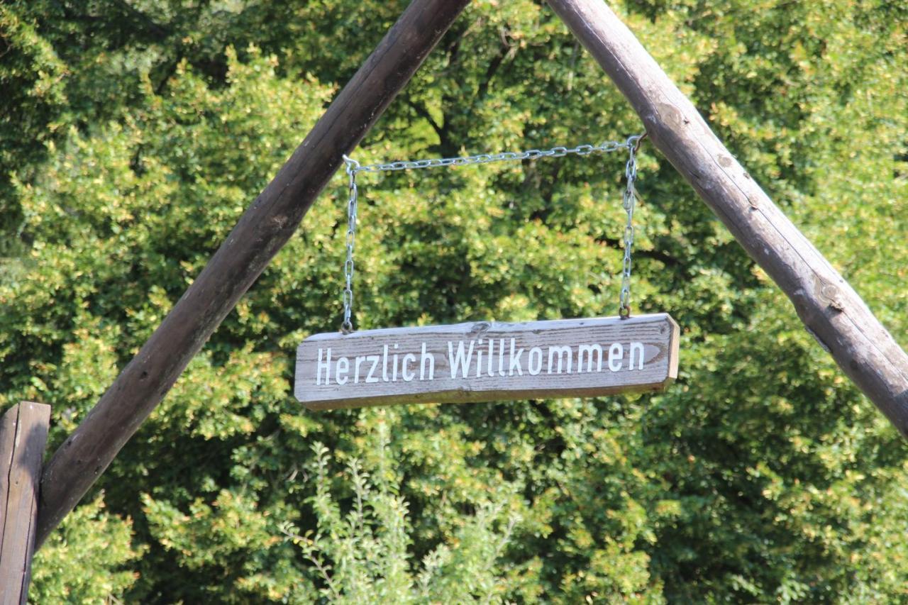 Haus Hirtenbergblick Lonau 外观 照片