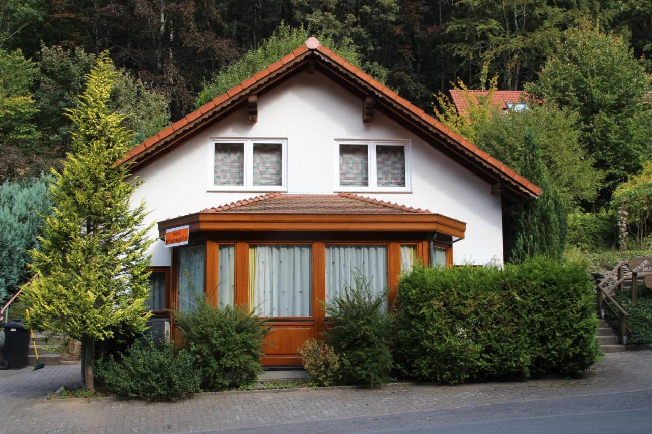 Haus Hirtenbergblick Lonau 外观 照片