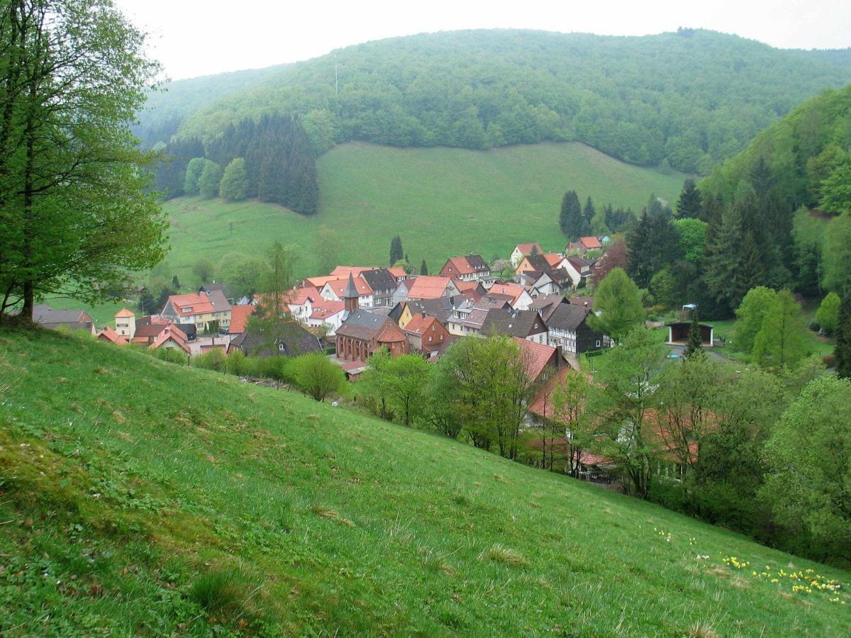 Haus Hirtenbergblick Lonau 外观 照片